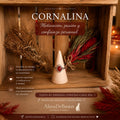 Anillo de plata con Cornalina